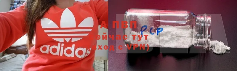 A PVP СК КРИС  Братск 